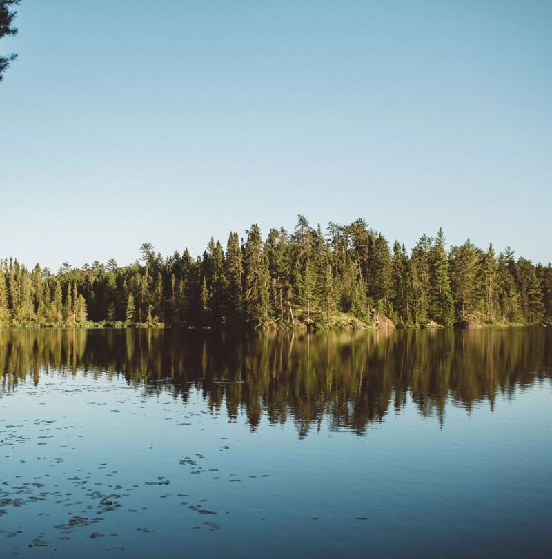 The image shows a serene lake surrounded by a dense forest under a clear blue sky. The trees are lush and green, and their reflections are visible in the calm water, creating a symmetrical effect. The water's surface is smooth with some vegetation. The scene evokes a sense of tranquility and natural beauty.